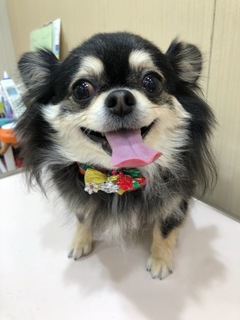 2D57926D-3E7D-41FA-990C-2F267BA4FE70.jpeg