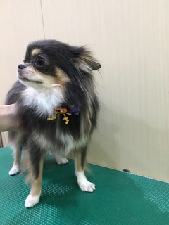 9D9493DB-D5BA-45ED-8279-32893DF4A04E.jpeg