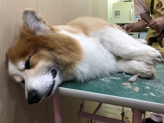 E80D8939-4DBD-45CA-AC4A-1AD65C5D5EDD.jpeg