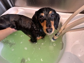 IMG_8043.jpeg